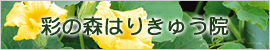 彩の森はりきゅう院